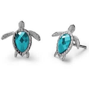 Turtle Aquamarine Silver Studs by Paul Hewitt - NWT
